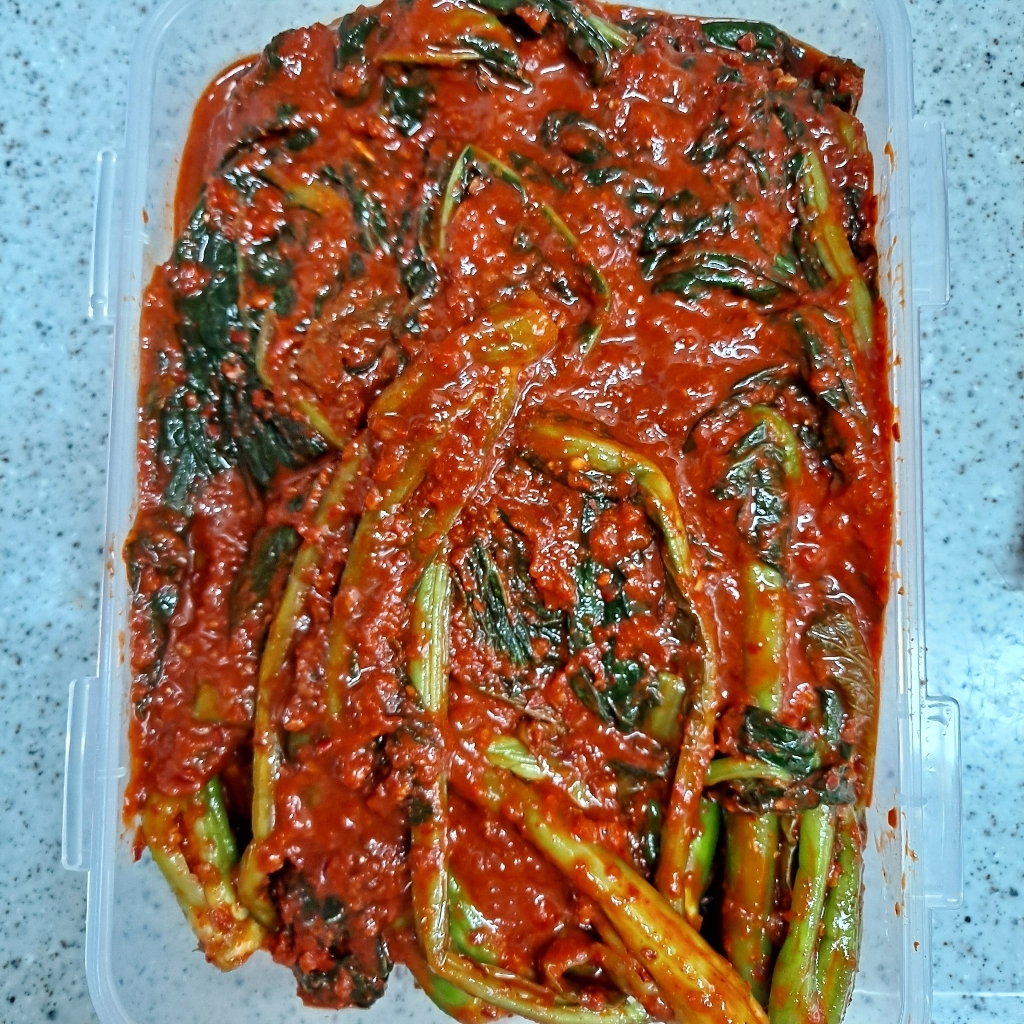 무명김치 맛있는 전라도 갓김치 여수 돌산 갓김치