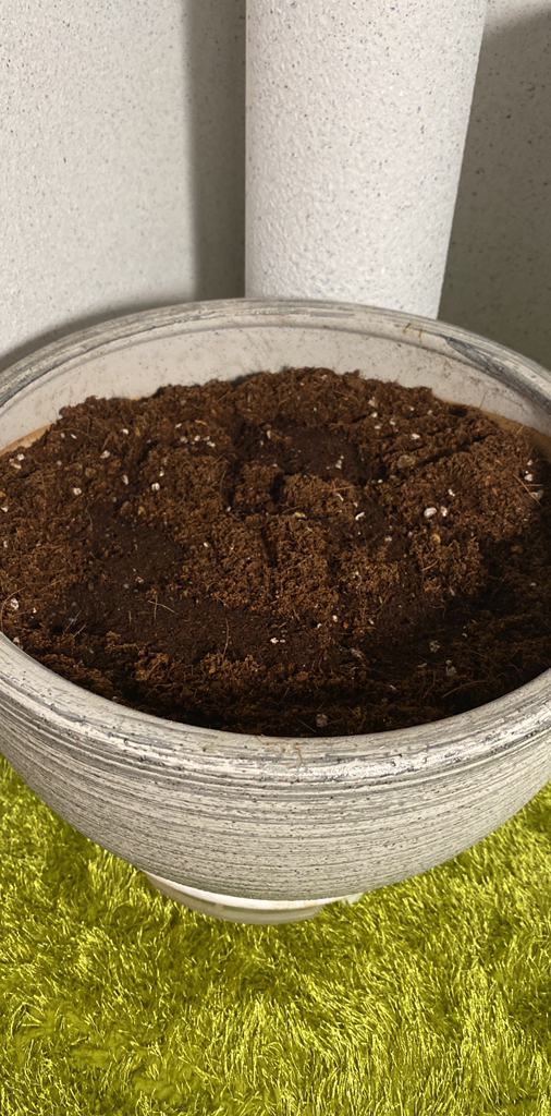 제라늄애 배양토 55L 리뷰후기