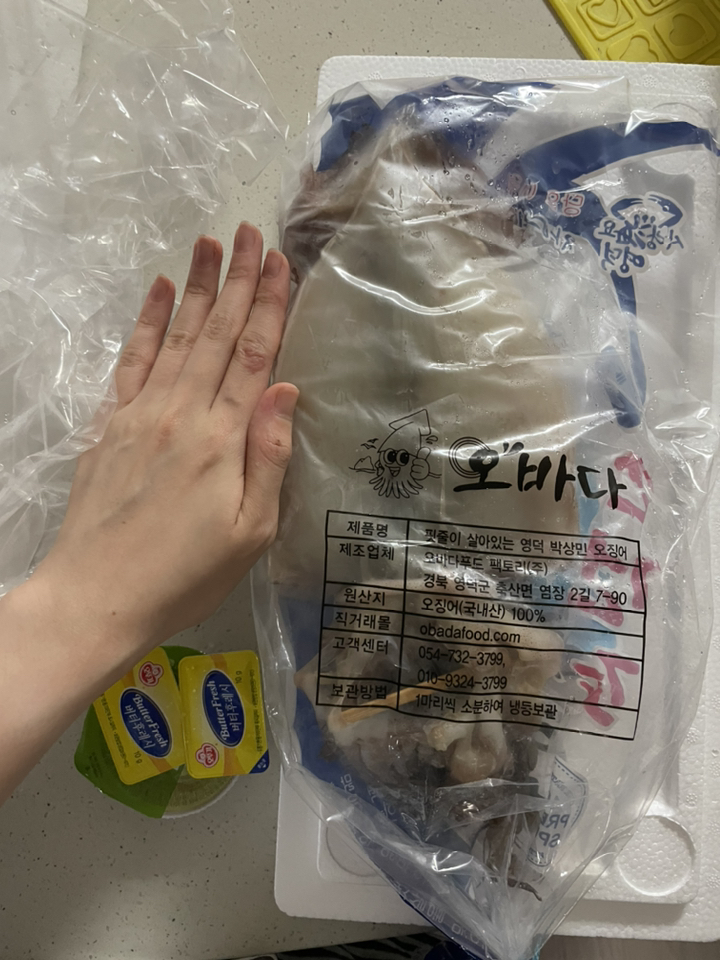 [와사마요 버터증정][산지직송 오바다] 국내산 반건조오징어