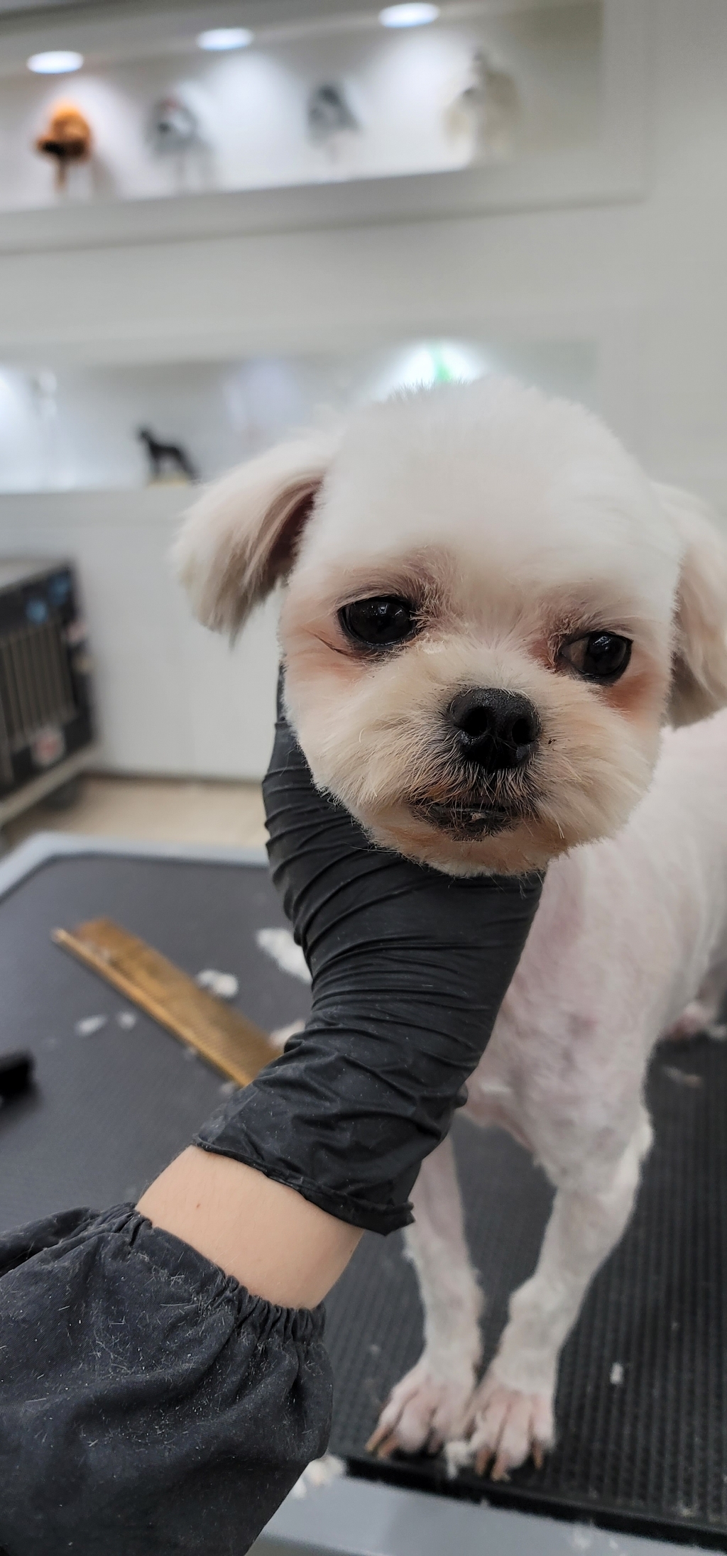 슈퍼케어 니트릴 장갑 블랙 S