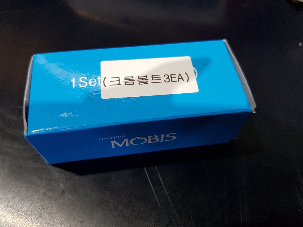 현대모비스 현대 크롬볼트 1SET 자동차 보조번판볼트 넘버판볼트 보조판볼트 번판볼트