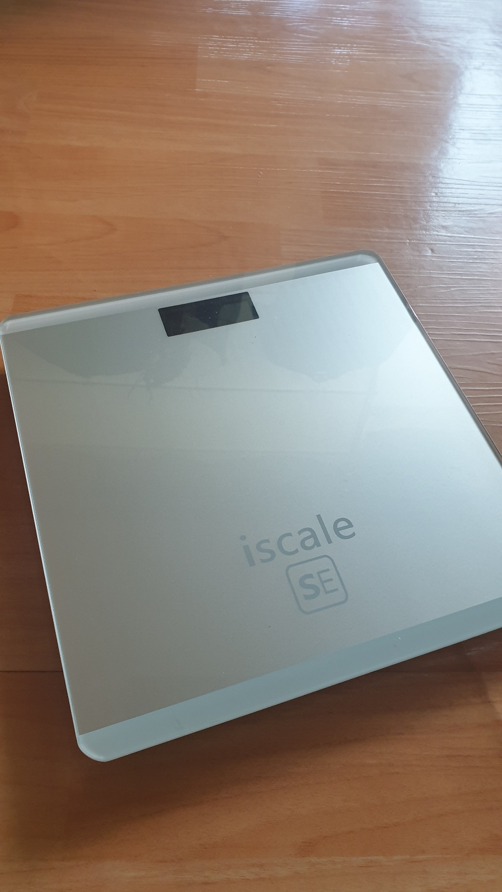 iscae SE 디지털 체중계