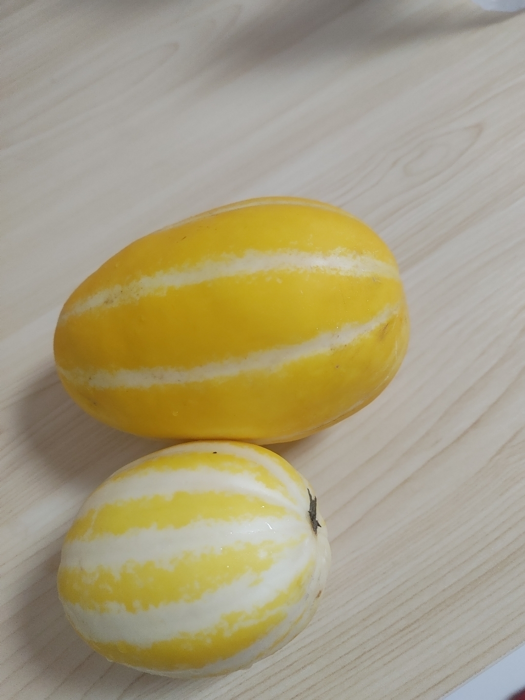산지직송 당도선별 석군성주참외 5 리뷰후기