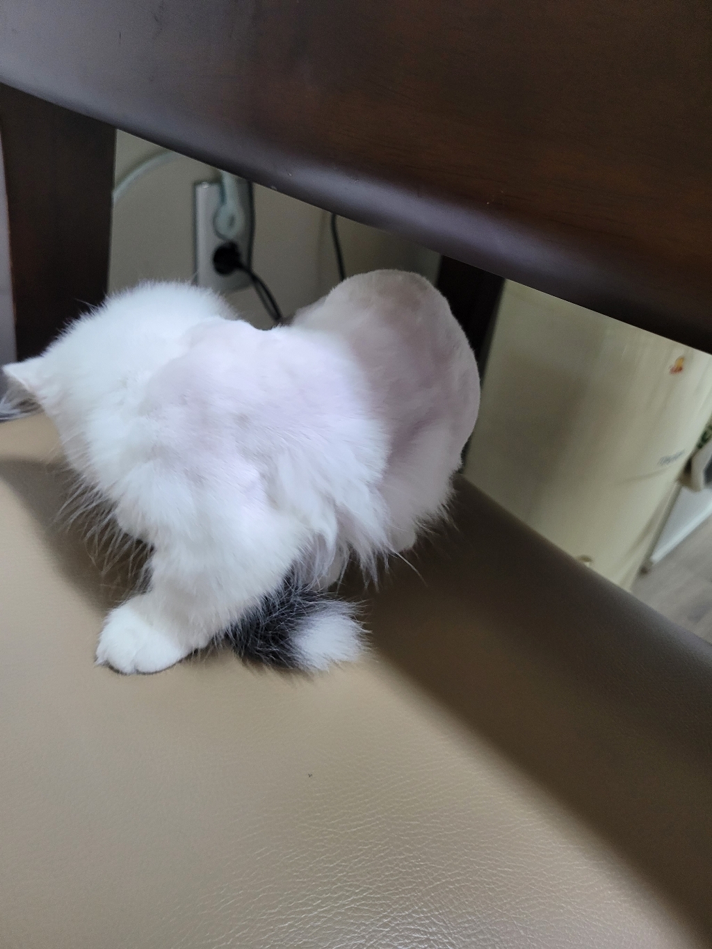 바비온 신소재 네오리튬 반려동물 이발기
