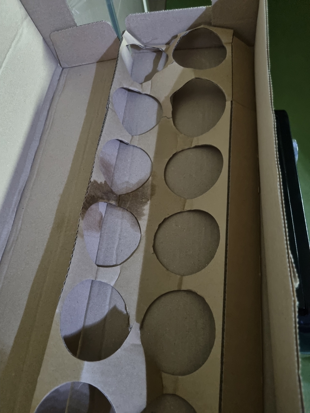 테이크 얼라이브 블러드오렌지 12개 머스캣청포도 12개