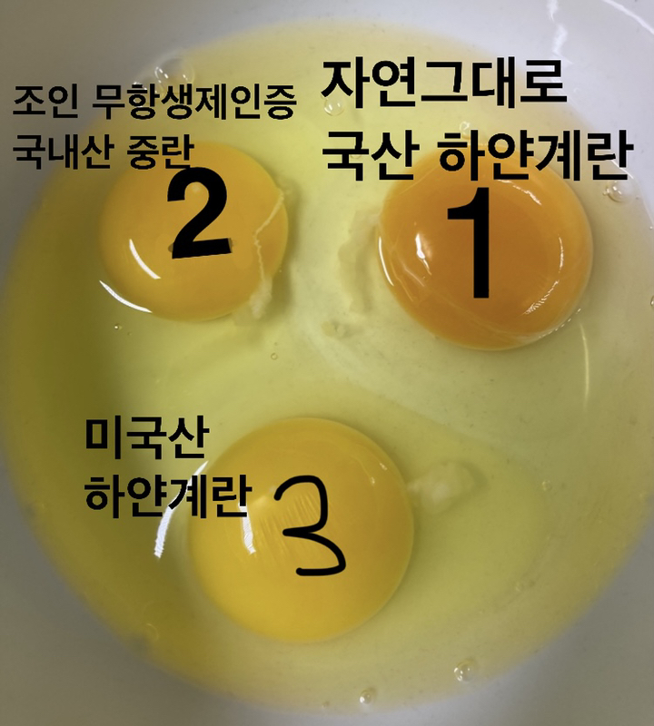 무항생제 인증 자연 그대로 신선한 하얀계란 대란 30구