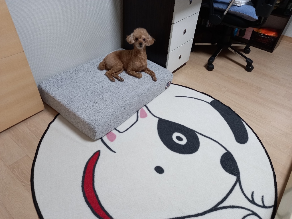 레드퍼피 허그 와플 반려동물 침대