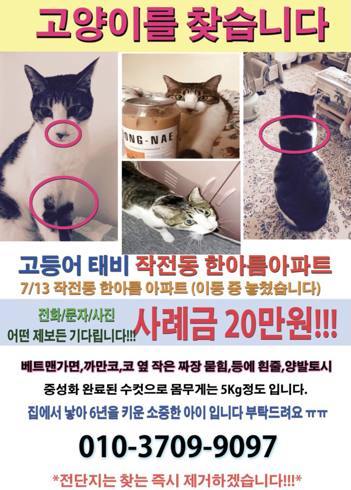 펫츠몬 눕기 편한 원형 스크래처 리필