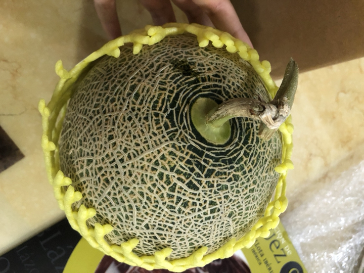 곰곰 머스크 멜론 리뷰후기