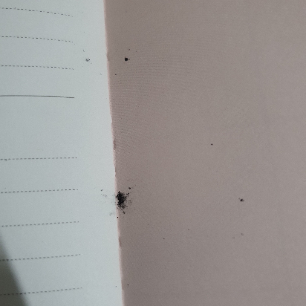 리훈 대학생활 대학생 스터디플래너