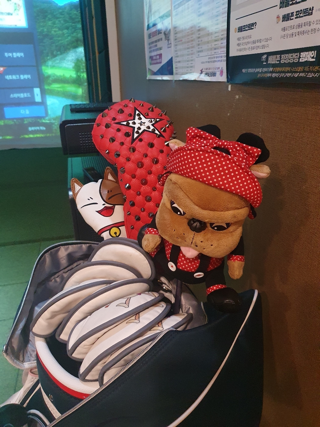 스테이트어패럴 스타 스터드 헤드커버 드라이버