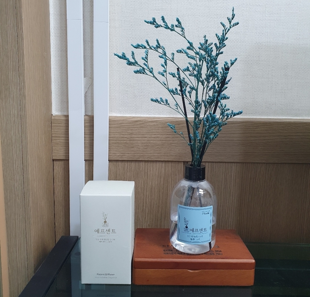 에프센트 곡물 백화점 디퓨저 대용량 프리저브드 섬유스틱 10개 리뷰후기