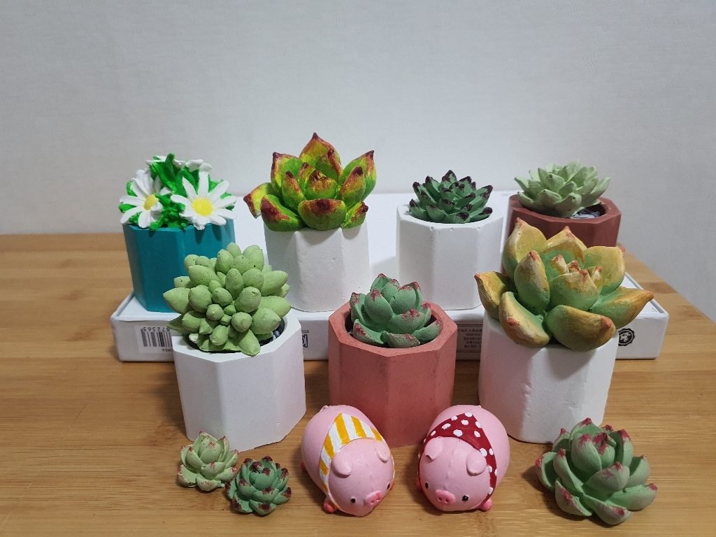 콩 K DIY 다육 식물 캔들 실리콘몰드 B1