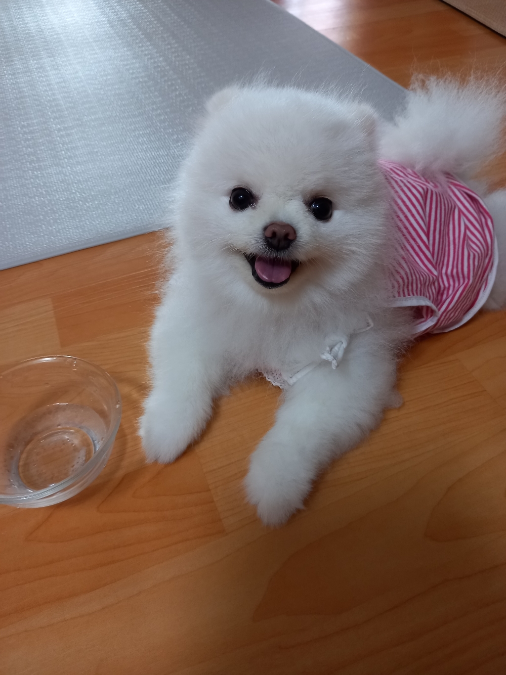 브리타 막스트라플러스 카트리지 정수기 한국형 필터