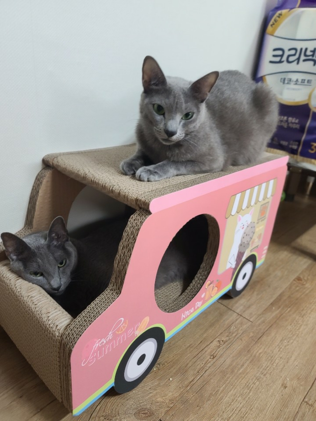 오케이펫코리아[ IceCra ]INK & BUE 자동차 스크래쳐 숨숨집 고양이 장난감 하우스 하우스형