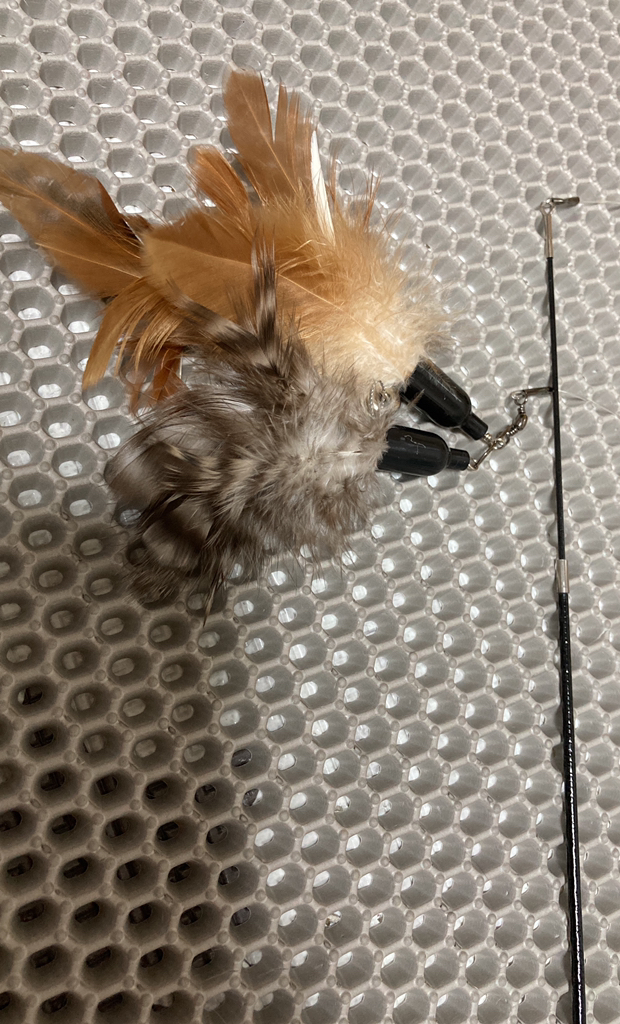 요기쏘 고양이 깃털 교환 낚시대 5종 리뷰후기