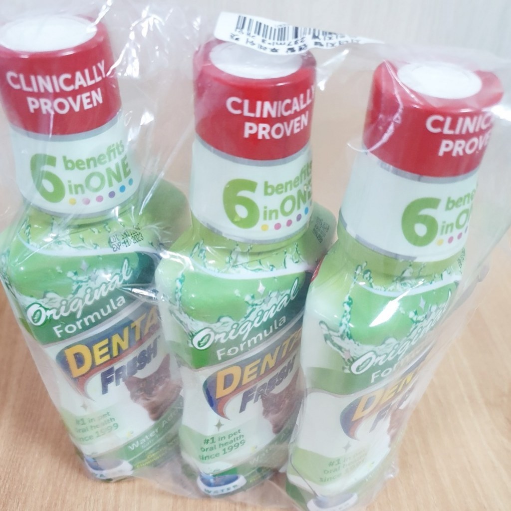 시너지랩 덴탈 후레쉬 캣 오리지널 구강청결제