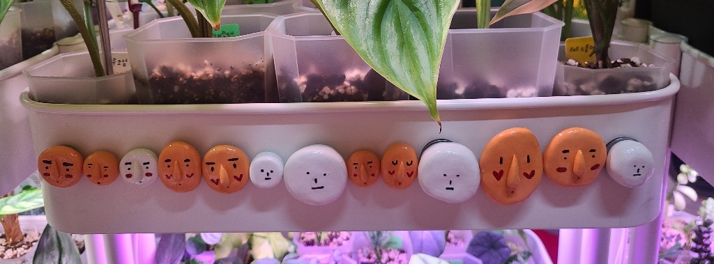 페인트인포 초강력 네오디움 원형자석 지름 두께