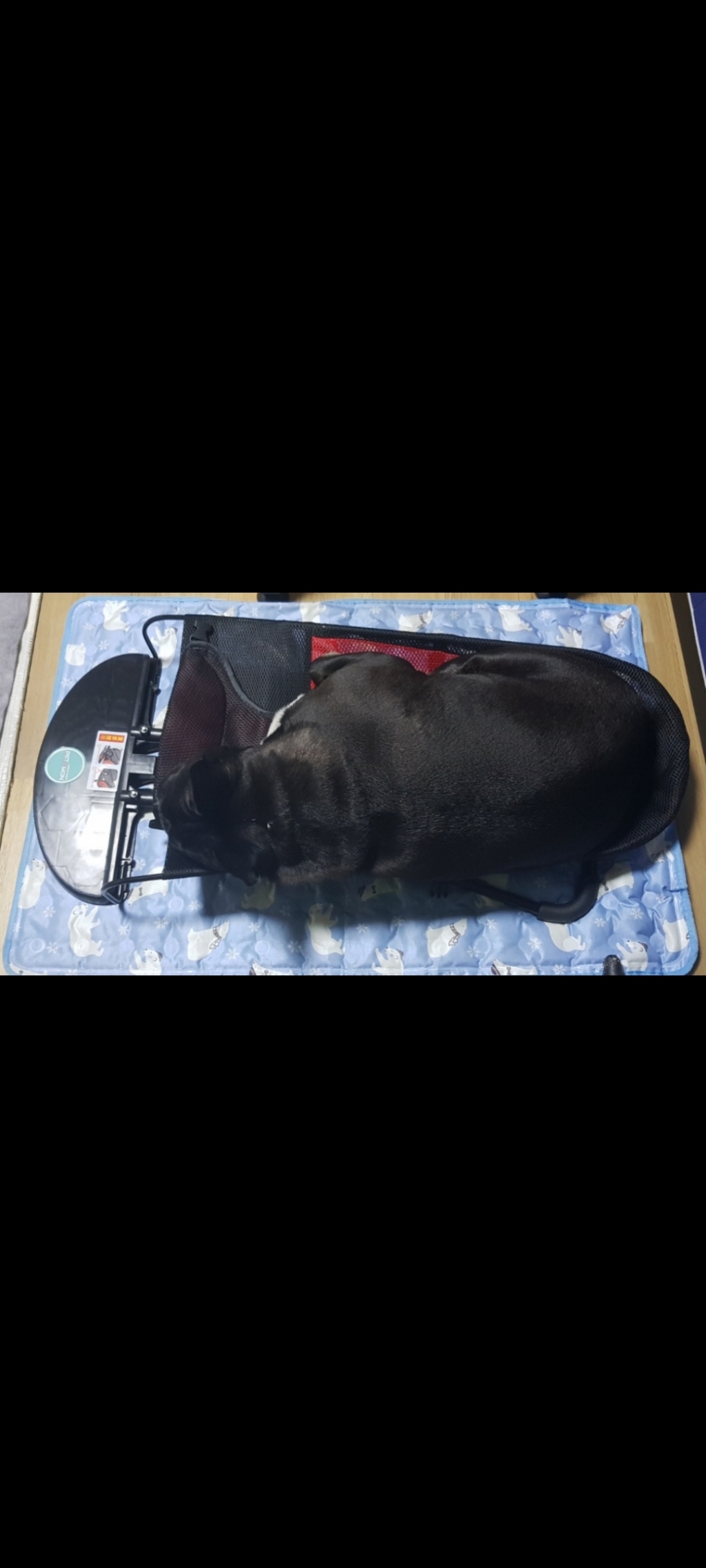 펫츠몬 꾸꾸 바운서 흔들침대