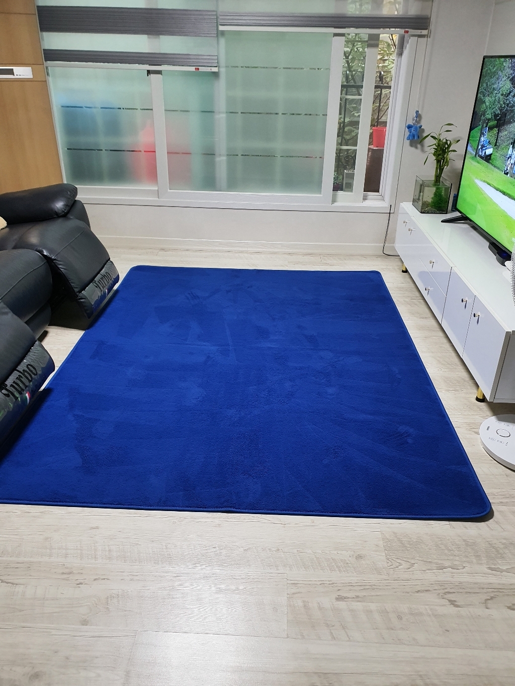 신명카페트 사계절 288 Hoya 러그 카페트 7coor
