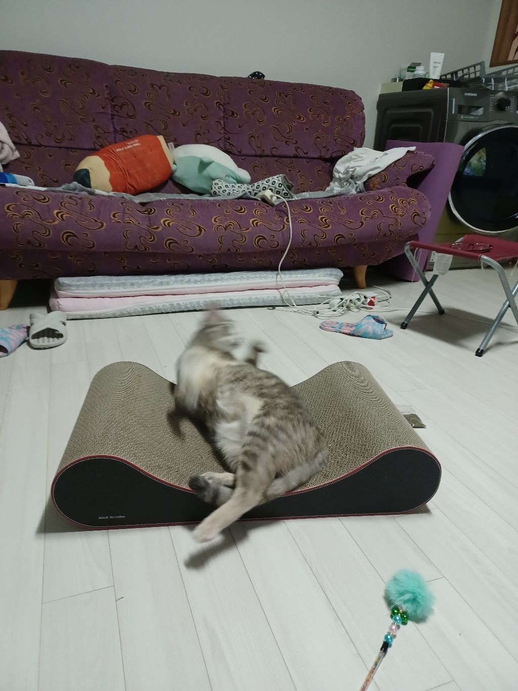 오케이펫코리아 다슬이 고양이 바디필로우 스크래쳐 650350140