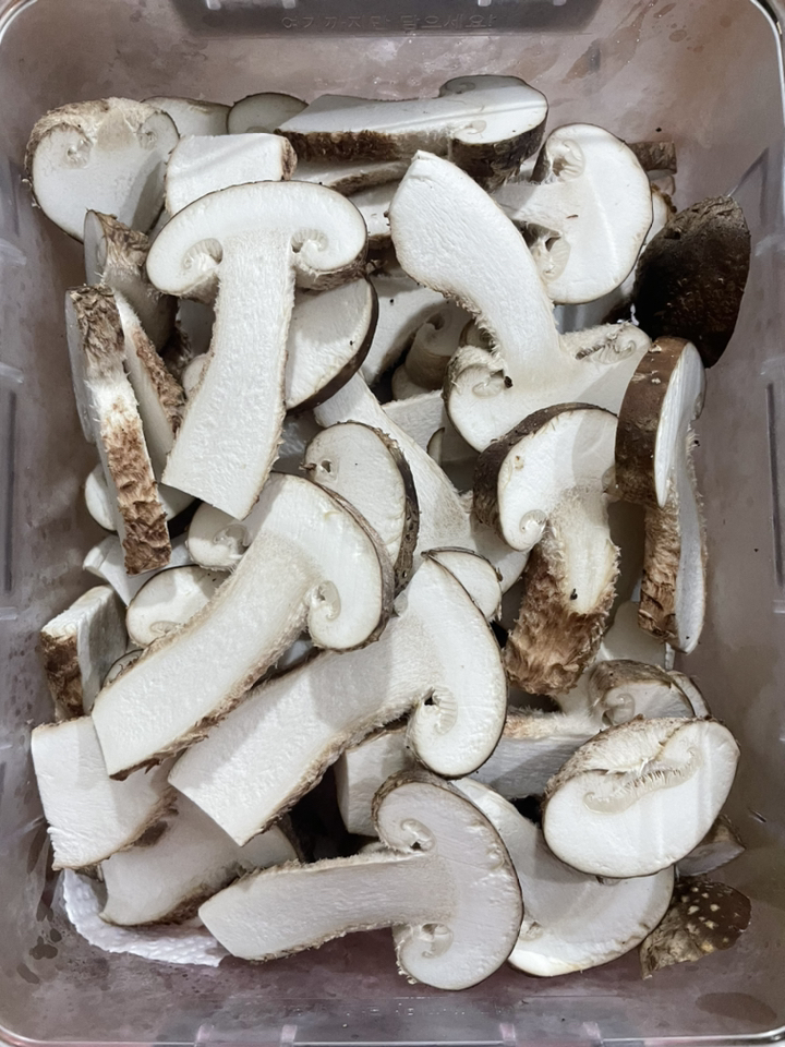 [젊은농부] 송화버섯  당일수확 발송 명품버섯 고기버섯 국산 산지직송 무농약 친환경