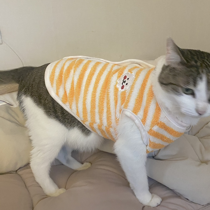 코코스튜디오 예쁜 강아지옷 고양이 데일리 수면조끼