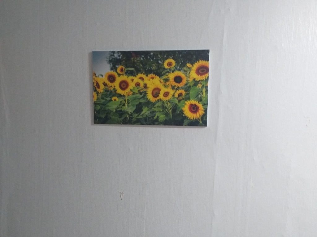 행운을담다 해바라기그림 돈들어오는그림 해바라기액자 집들이선물 개업식선물 3종