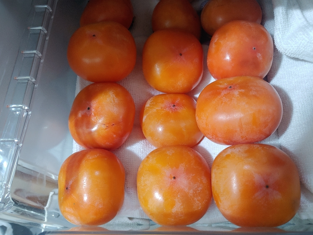 푸드베이스 청도반시 리뷰후기