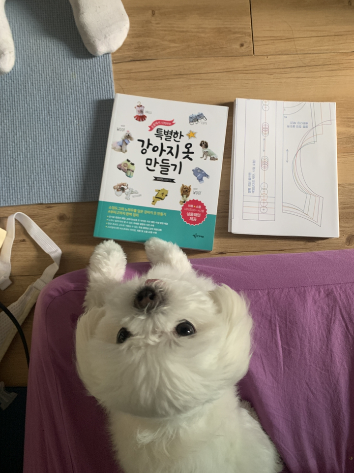 손끝에서 시작하는 특별한 강아지옷 만들기:의류 소품 사이즈별 실물패턴 제공