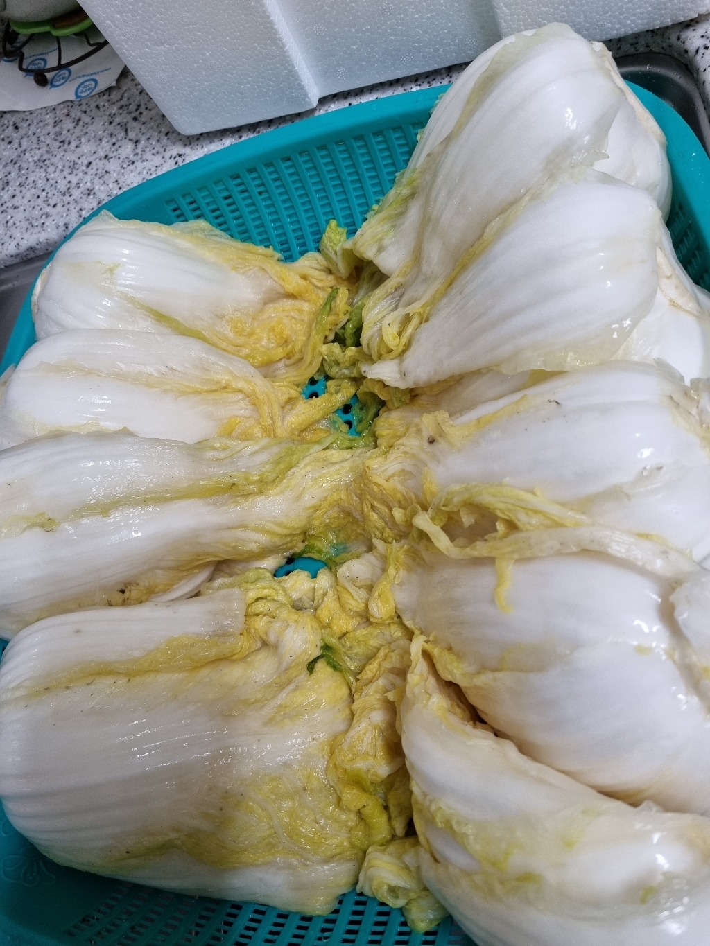 [자연담은 송송] 아삭한 절임배추