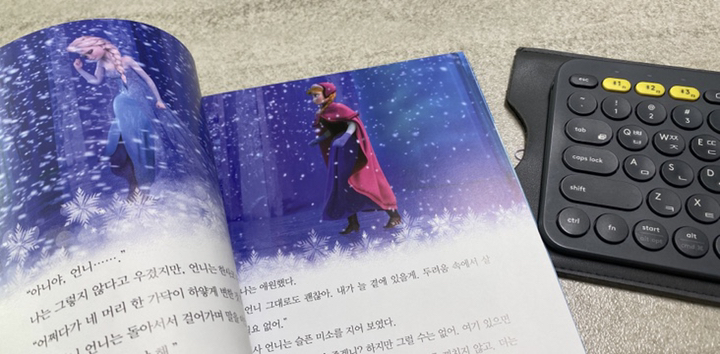 Disney 겨울 왕국:안나 공주의 유쾌 발랄 모험 이야기 리뷰 후기