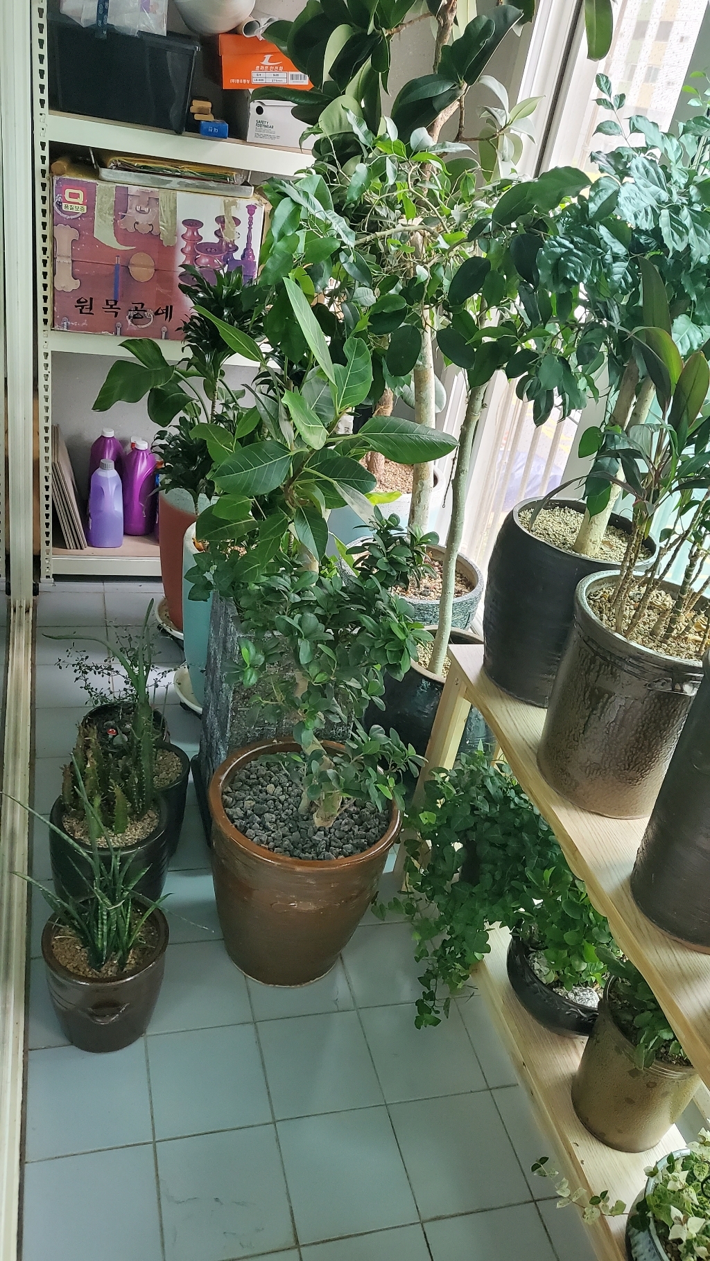 나무다움 DIY 프리미엄 2단 원목 화분받침대 길이 화분정리 진열대 화분선반