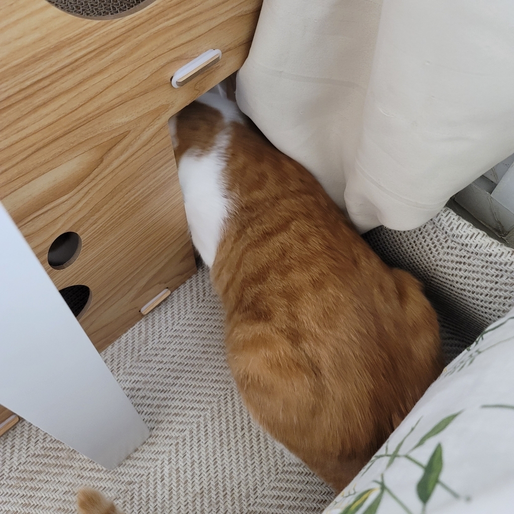 루어캣 숨숨집47