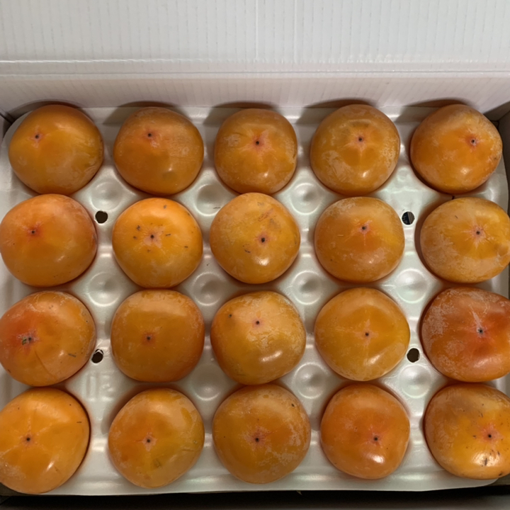 산지직송 청도반시 씨없는 홍시 중과 대과 특대과 2 리뷰후기