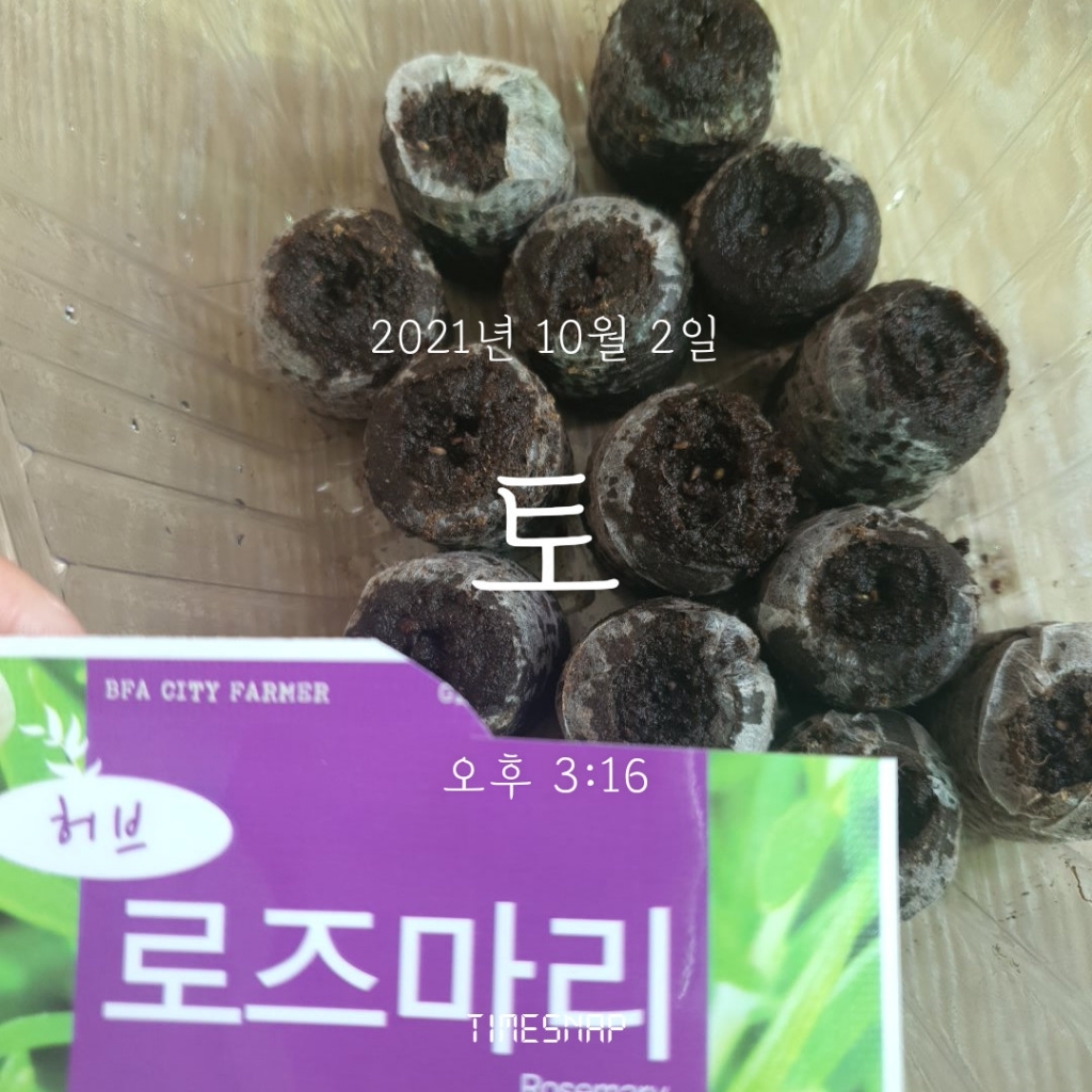 BFA 프리미엄 허브씨앗 로즈마리