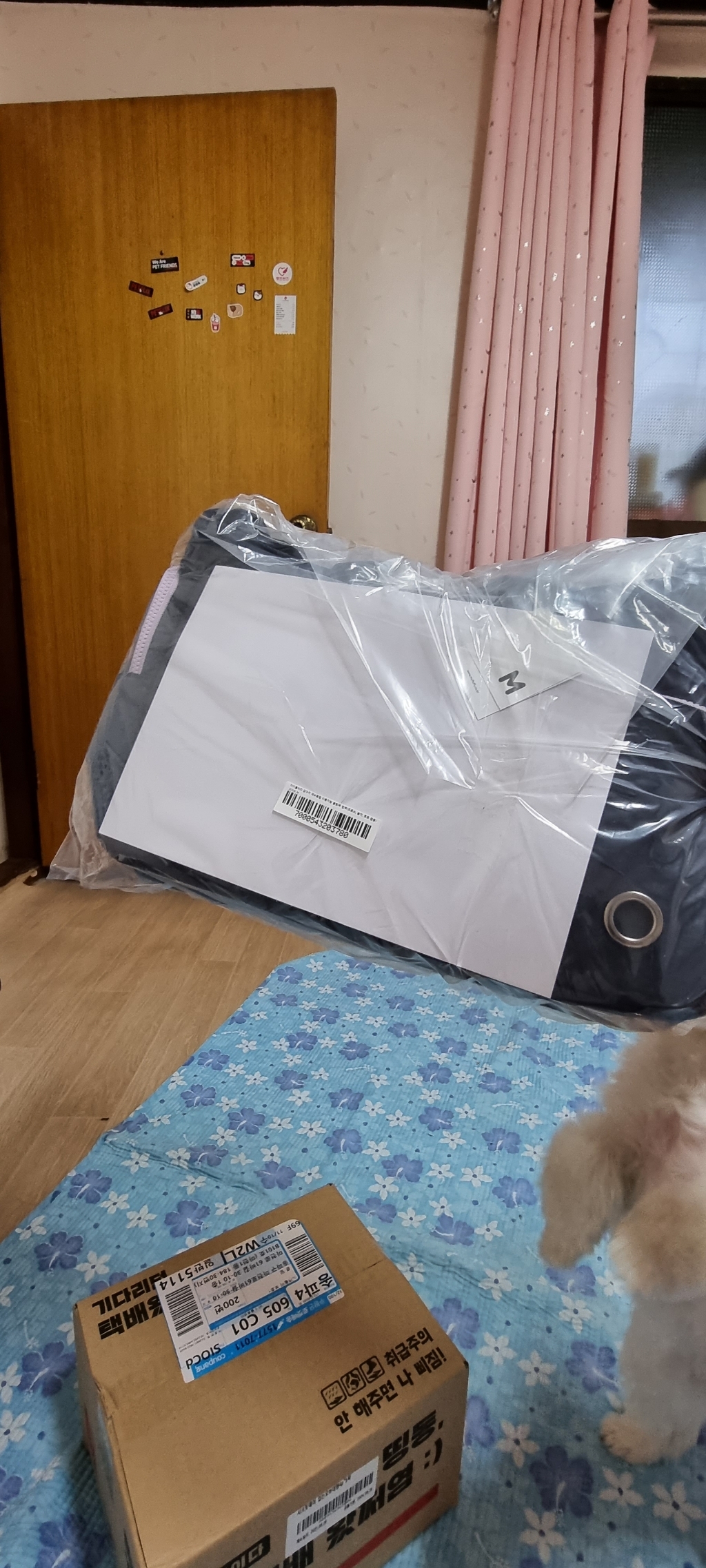 마이플러피 반려동물 이동가방 업백