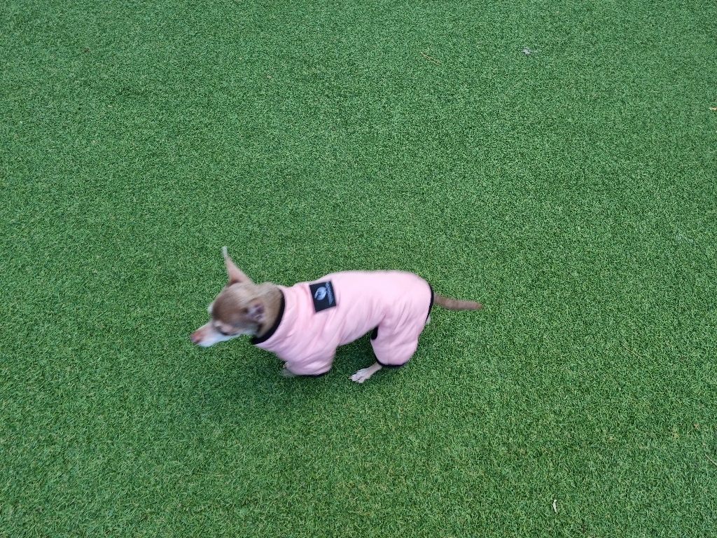 코코스튜디오 예쁜 강아지옷 고양이 기모 패딩 올인원