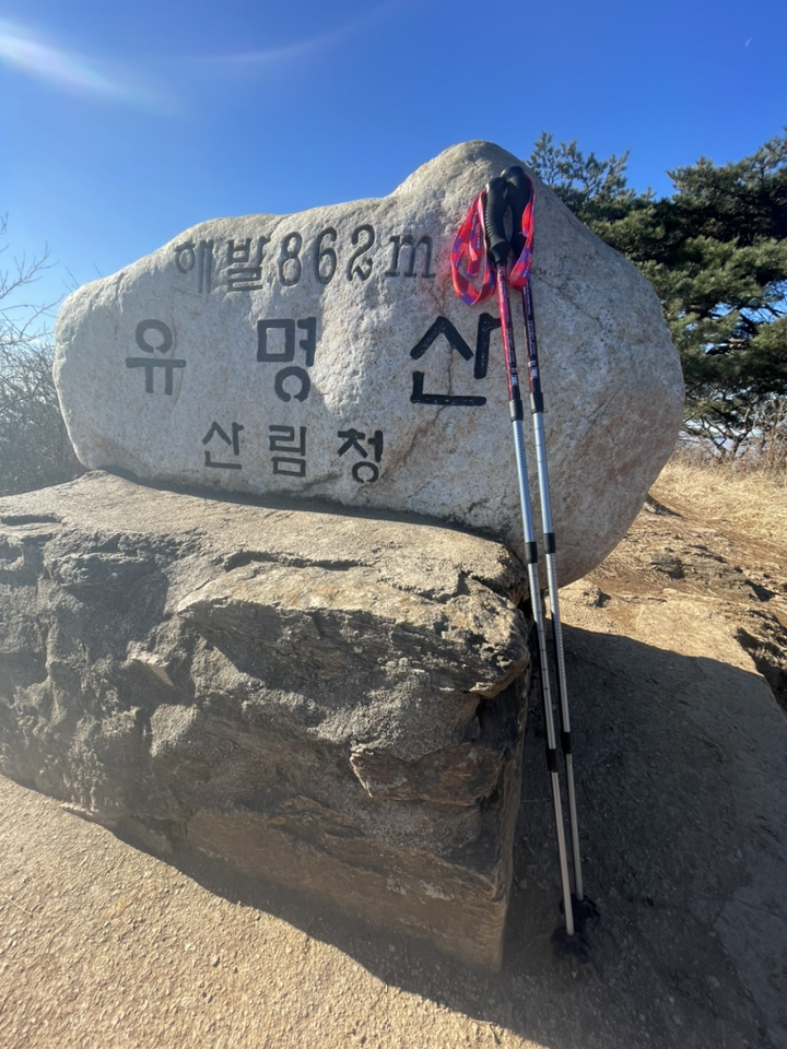 헬릭스 샤이니 4단 초경량 등산스틱 2개 1세트케이스