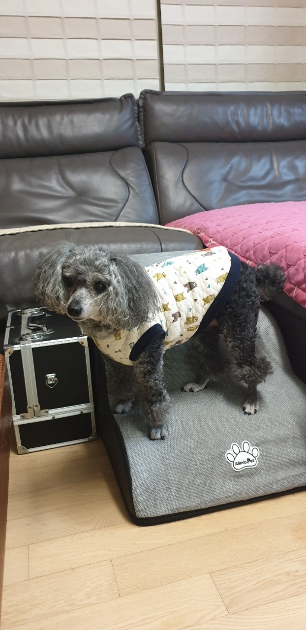 올미오펫 강아지 논슬립 곡선 계단
