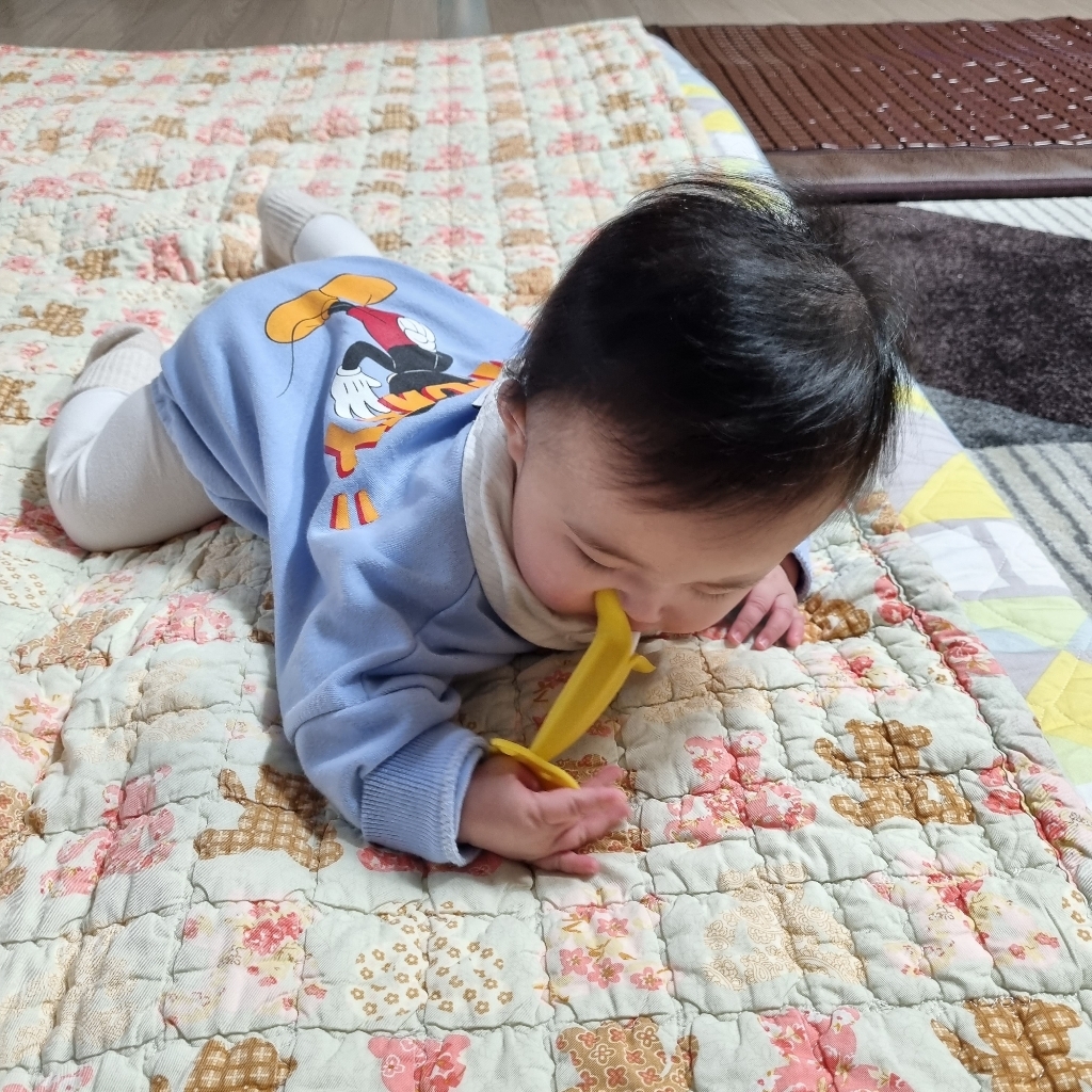 앙쥬 치아발육기 2종