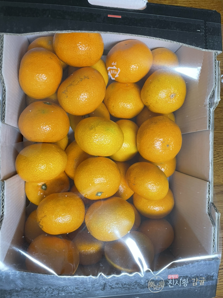 A 인증 진시황 고당도 감귤