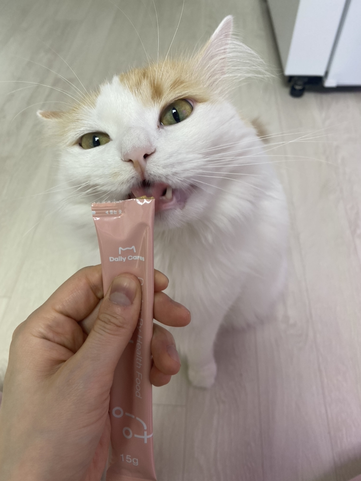 닥터바이 고양이 요로케어 영양제