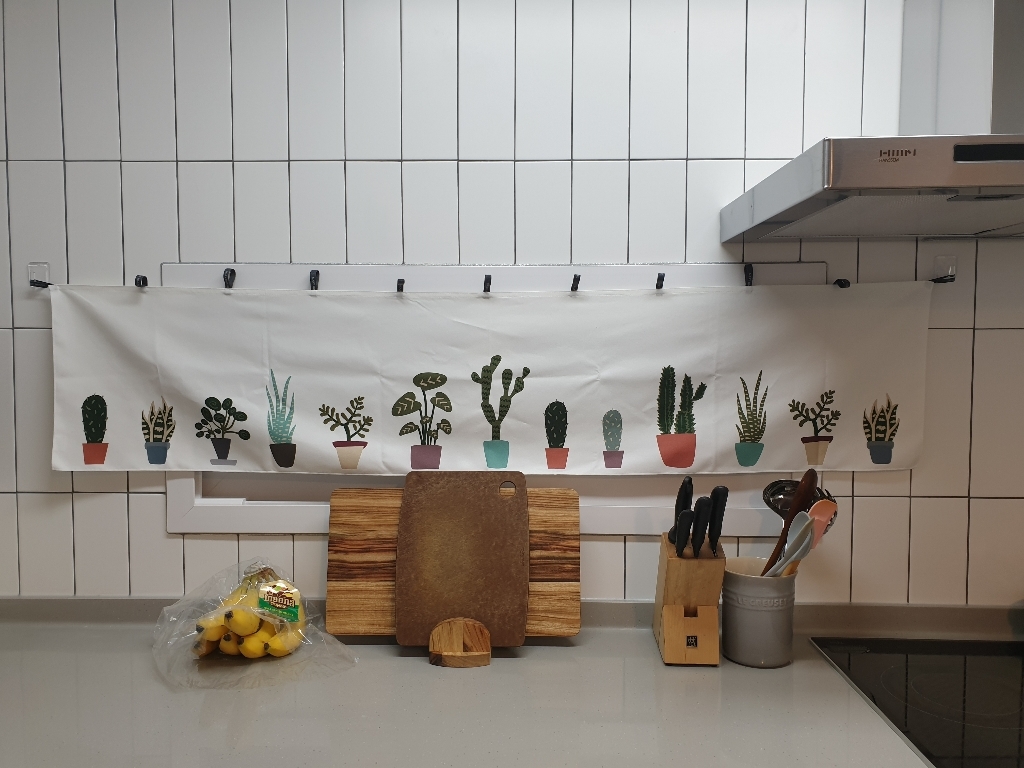 마리하우스 플랜트 바란스
