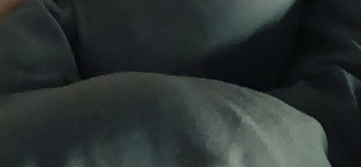 촉감 끝판왕 몽그리 먼지없는 간절기 사계절 차렵이불 리뷰후기