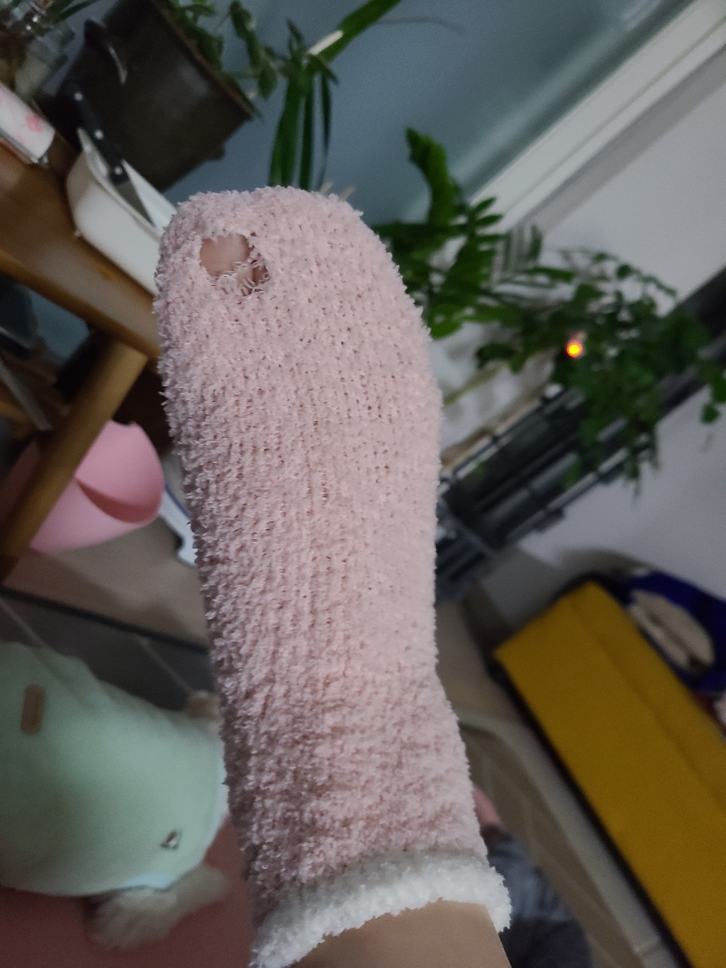 발편한세상 포근한 솜사탕 수면 양말 5켤레