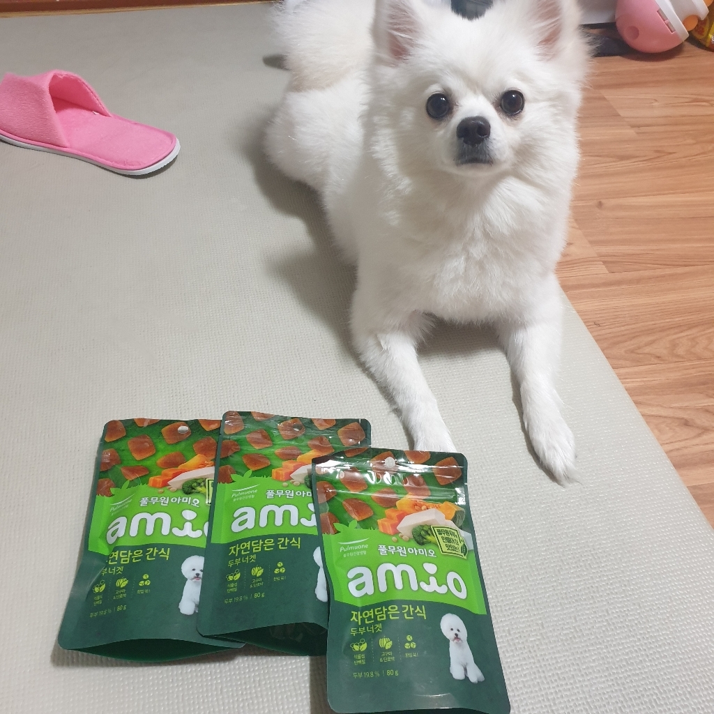 아미오 강아지 자연 담은 간식