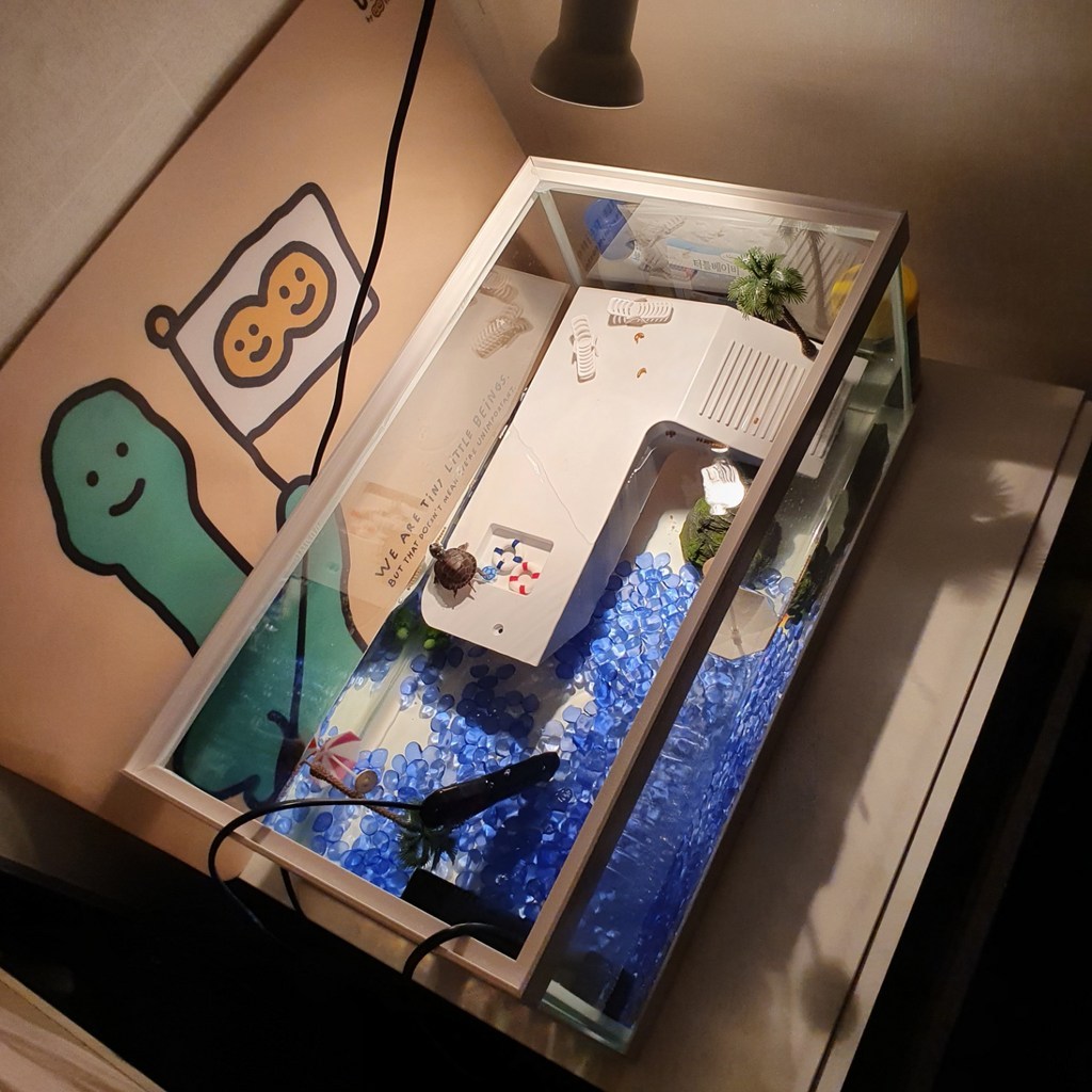 노모펫 반수생 거북이 쉼터 흰색