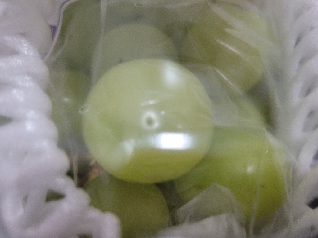 A 김천 샤인머스캣