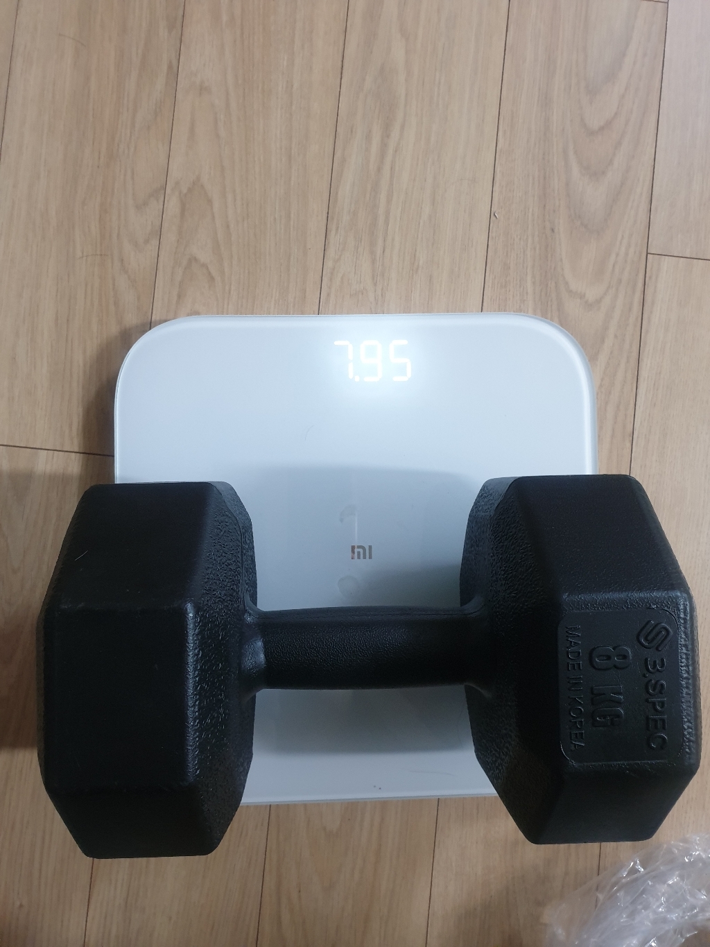 반석스포츠 K 아령